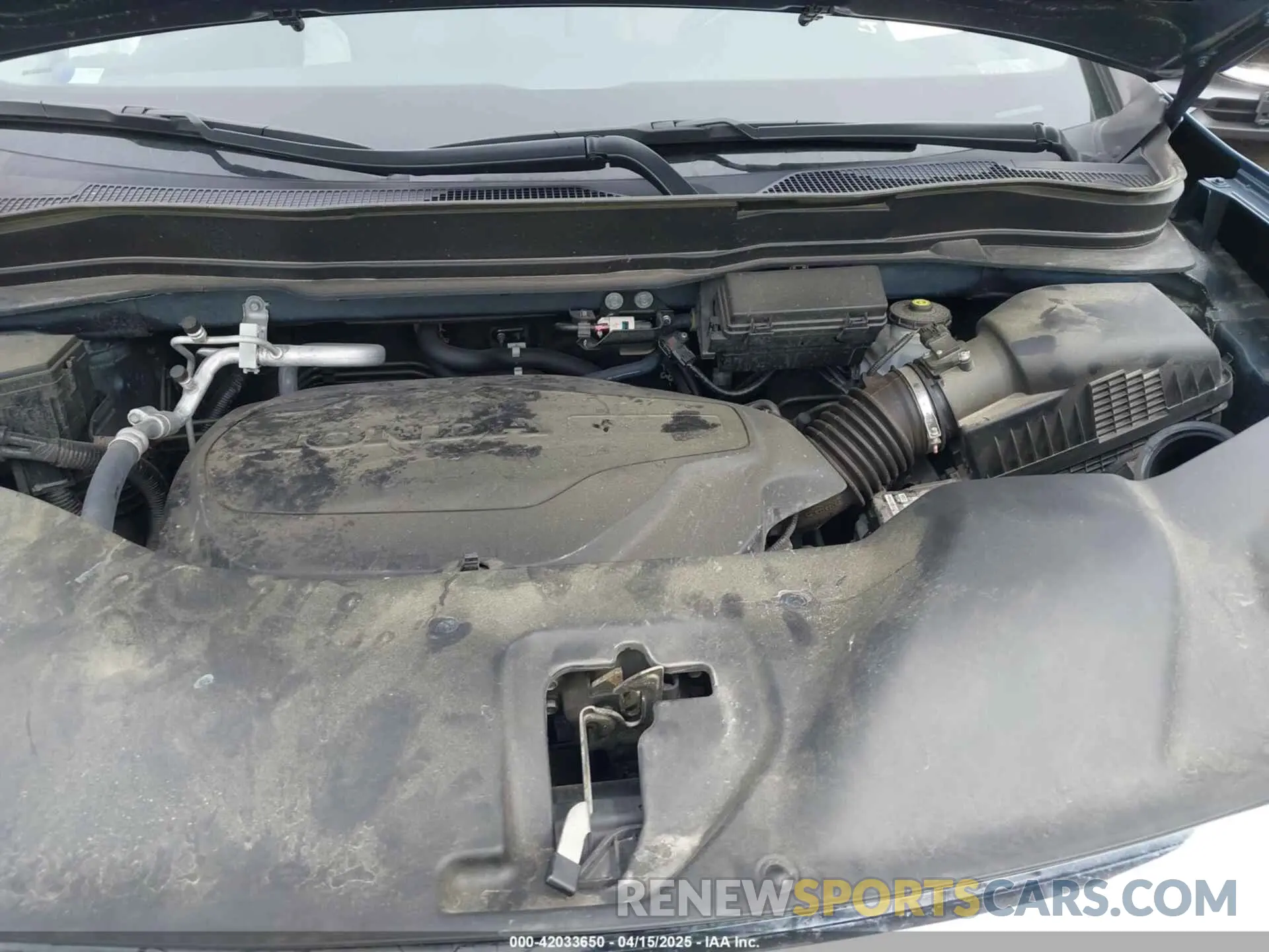 10 fotografías del automóvil dañado 5FNYF5H56NB008417 HONDA PILOT 2022
