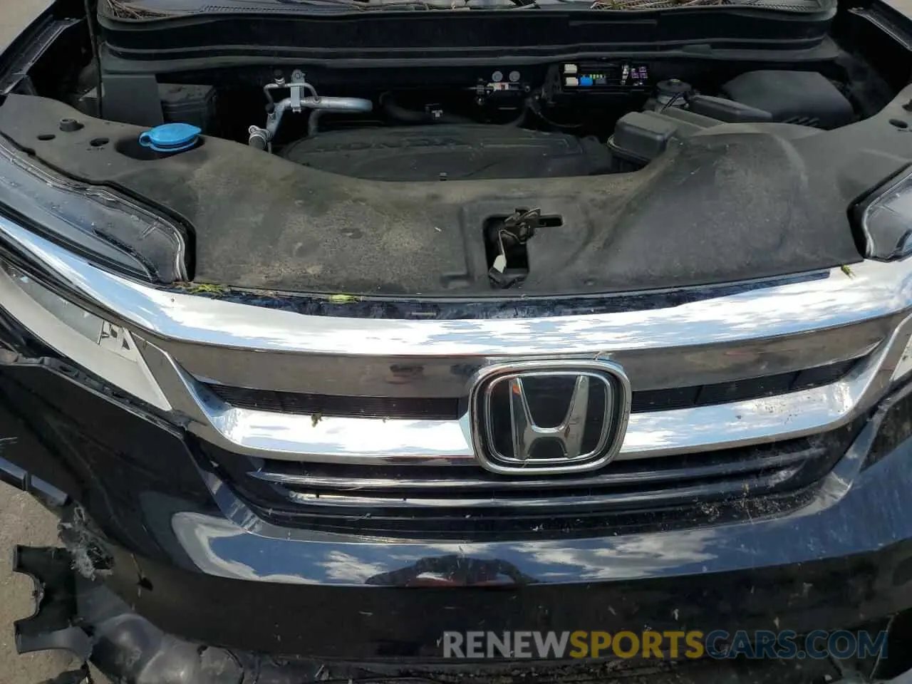 11 fotografías del automóvil dañado 5FNYF6H06NB030069 HONDA PILOT 2022