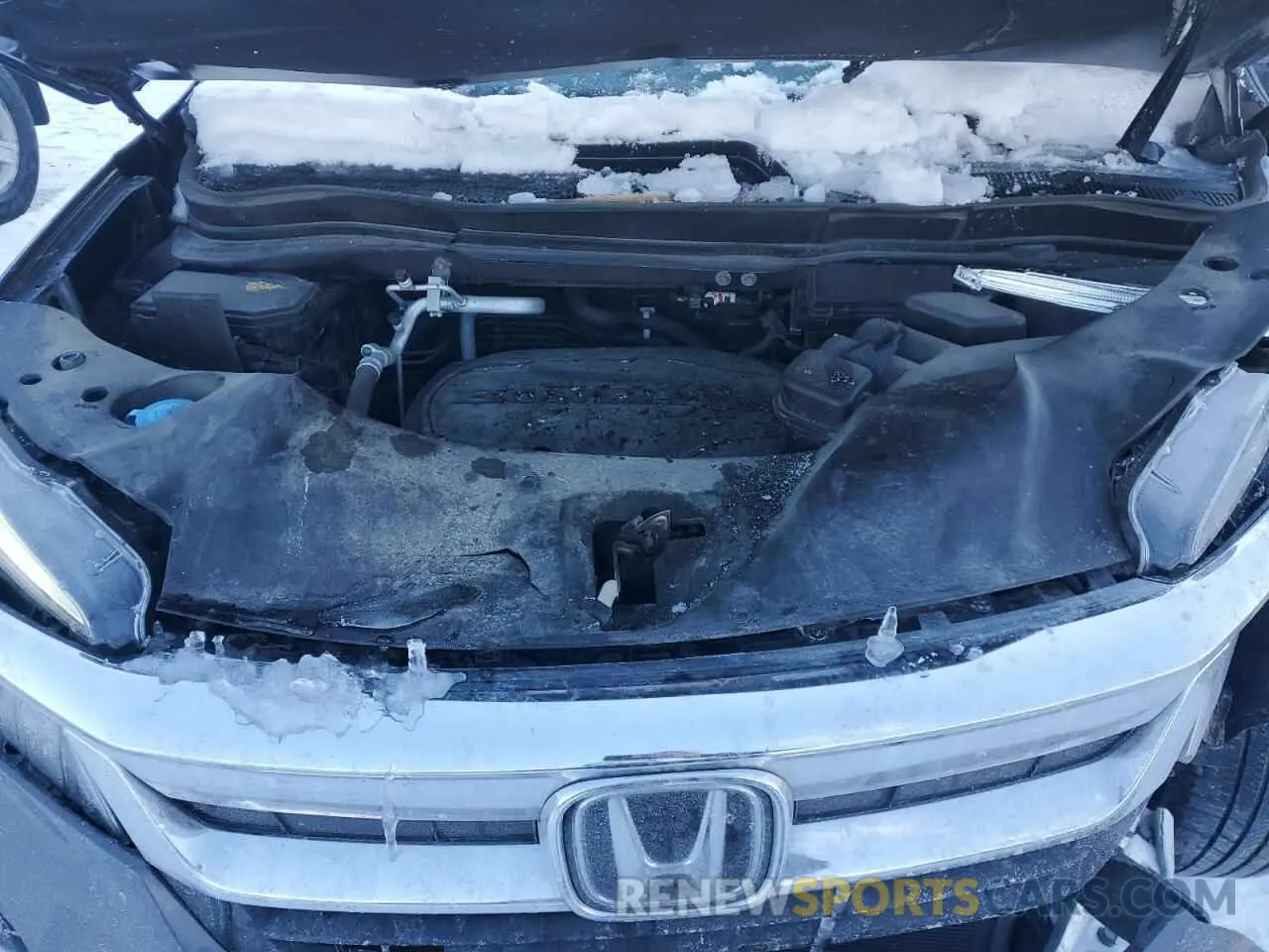 12 fotografías del automóvil dañado 5FNYF6H56NB098769 HONDA PILOT 2022