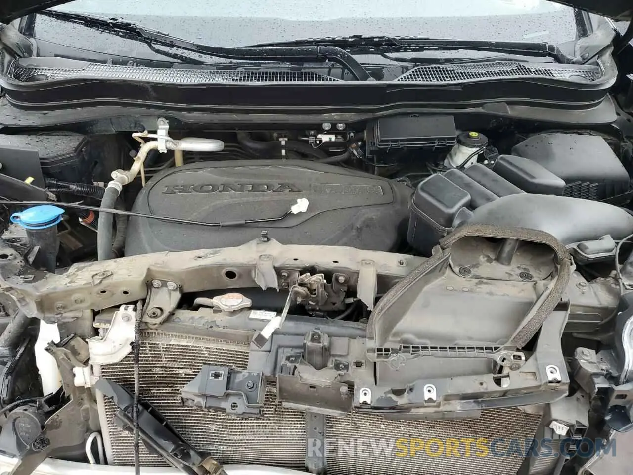 12 fotografías del automóvil dañado 5FNYF6H77NB025959 HONDA PILOT 2022