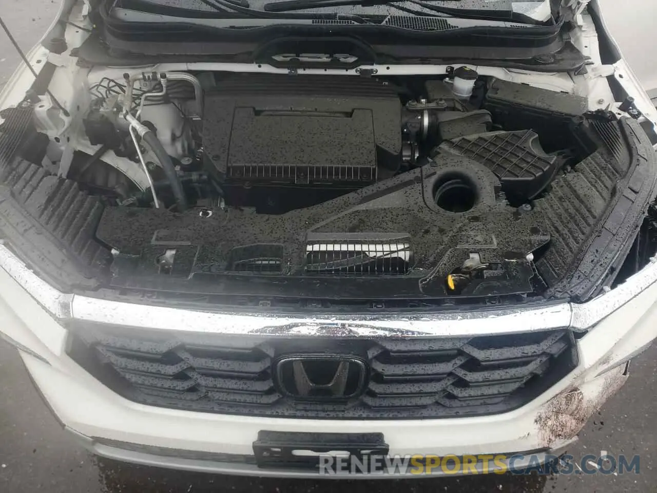 12 fotografías del automóvil dañado 5FNYG1H45PB002768 HONDA PILOT 2023