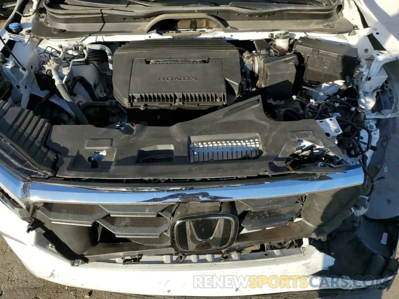 11 fotografías del automóvil dañado 5FNYG1H41RB017772 HONDA PILOT 2024