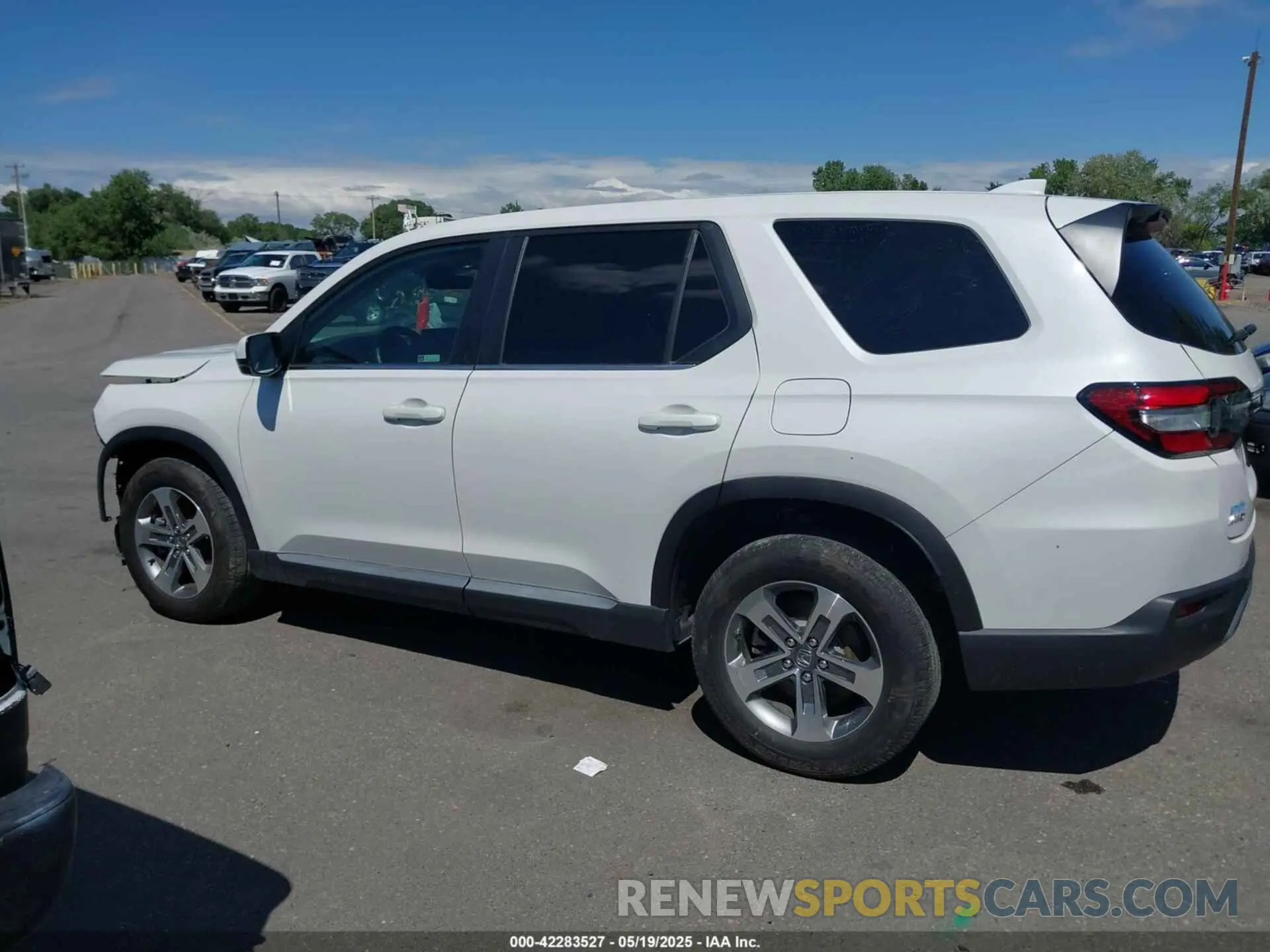 14 fotografías del automóvil dañado 5FNYG1H46RB014463 HONDA PILOT 2024