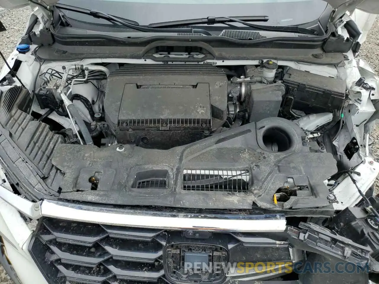 13 fotografías del automóvil dañado 5FNYG1H8XRB009639 HONDA PILOT 2024
