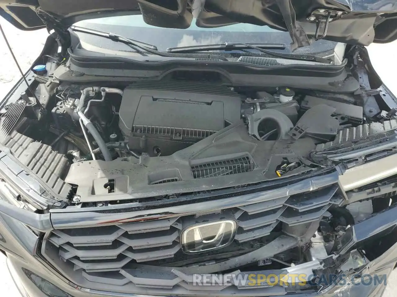 12 fotografías del automóvil dañado 5FNYG2H39RB011702 HONDA PILOT 2024