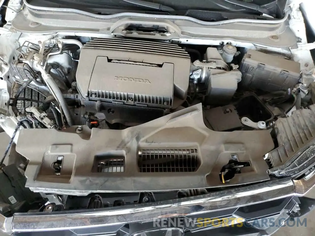 12 fotografías del automóvil dañado 5FNYG2H55RB000052 HONDA PILOT 2024