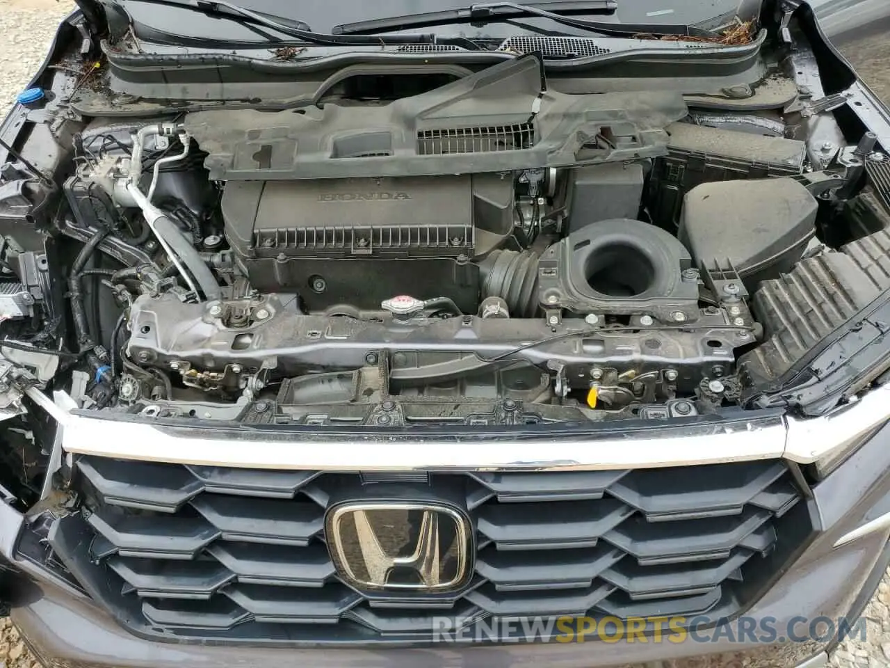 12 fotografías del automóvil dañado 5FNYG2H57RB016317 HONDA PILOT 2024