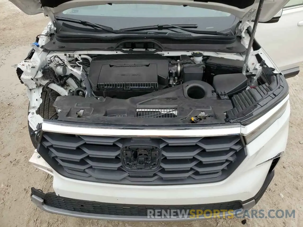 12 fotografías del automóvil dañado 5FNYG2H44SB003828 HONDA PILOT 2025