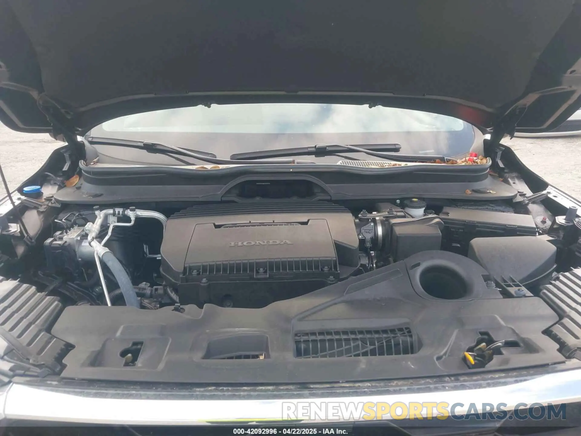 10 fotografías del automóvil dañado 5FNYG2H73SB011882 HONDA PILOT 2025