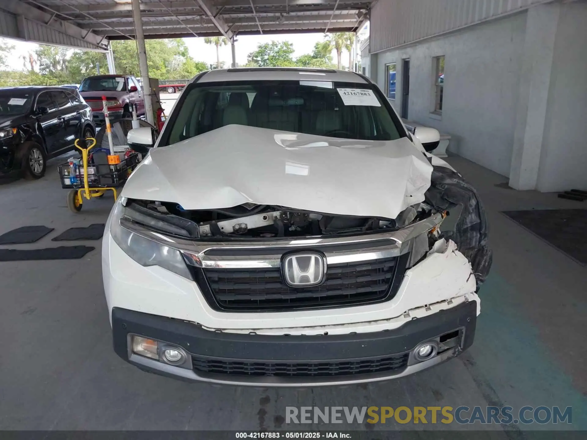 12 fotografías del automóvil dañado 5FPYK3F71LB005028 HONDA RIDGELINE 2020