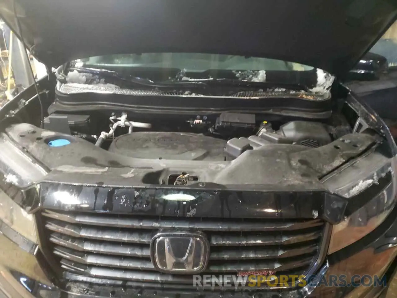 11 fotografías del automóvil dañado 5FPYK3F1XNB010405 HONDA RIDGELINE 2022