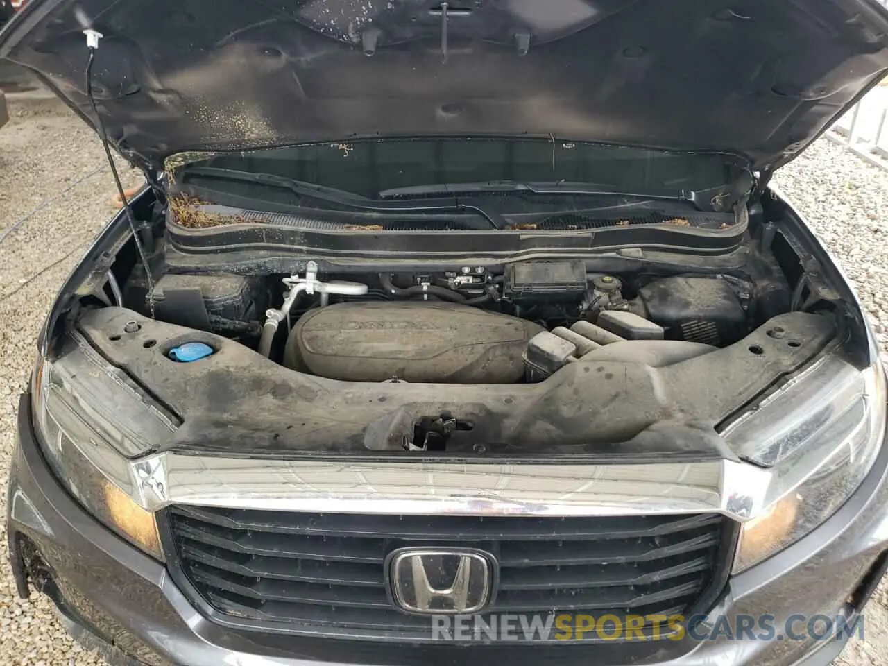 11 fotografías del automóvil dañado 5FPYK3F57NB026256 HONDA RIDGELINE 2022