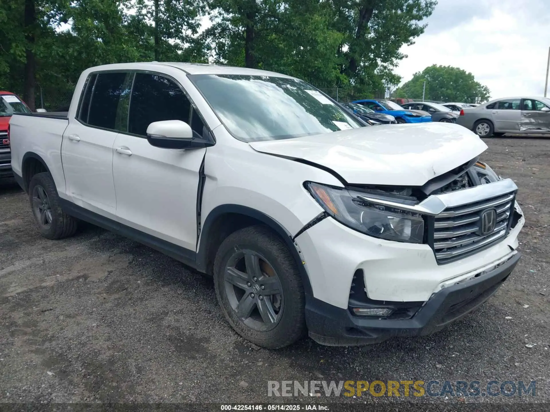 12 fotografías del automóvil dañado 5FPYK3F53PB003091 HONDA RIDGELINE 2023