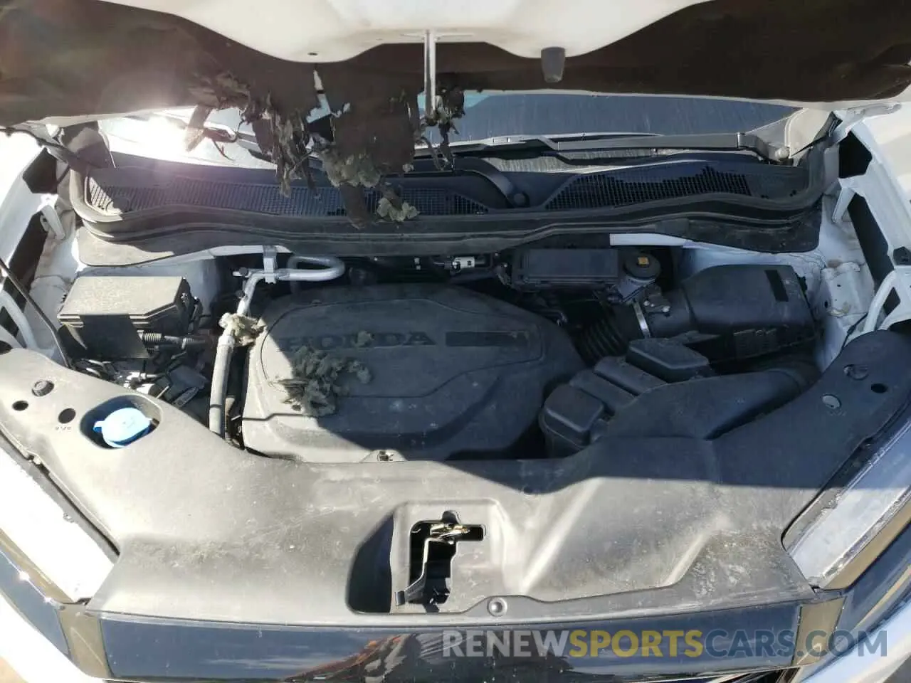 11 fotografías del automóvil dañado 5FPYK3F89PB018933 HONDA RIDGELINE 2023