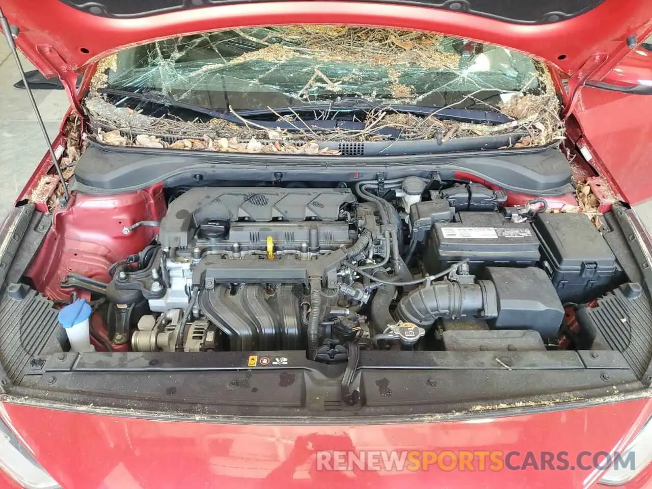 13 fotografías del automóvil dañado 3KPC24A66ME138088 HYUNDAI ACCENT 2021