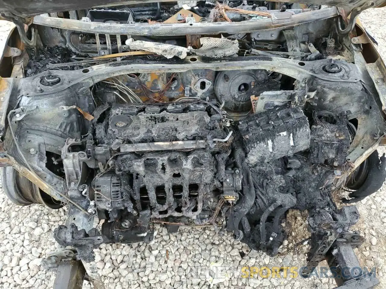 11 fotografías del automóvil dañado 5NPD74LF6KH494018 HYUNDAI ELANTRA 2019