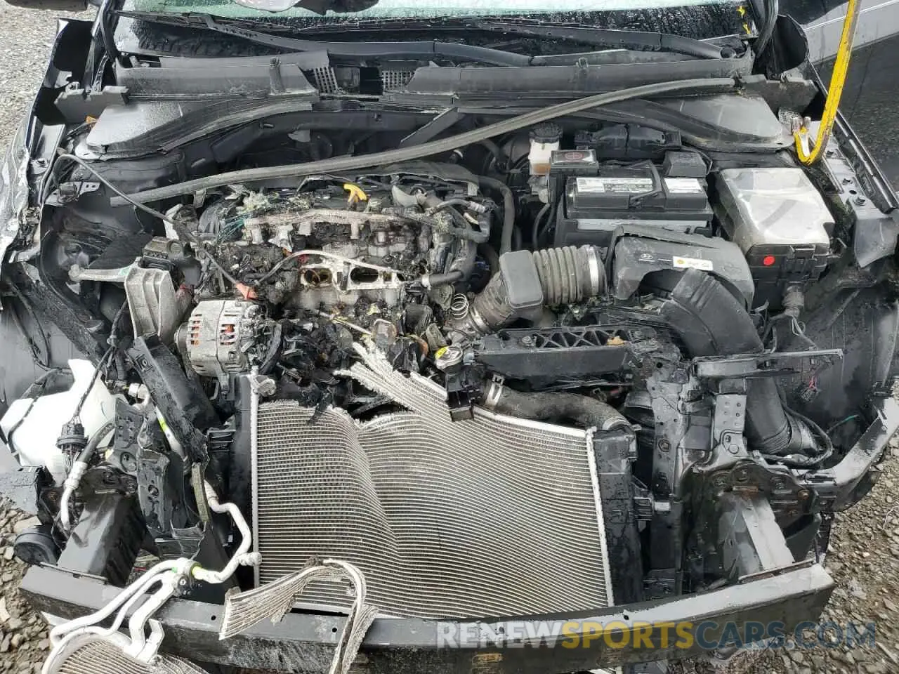 13 fotografías del automóvil dañado 5NPD74LF8KH445967 HYUNDAI ELANTRA 2019