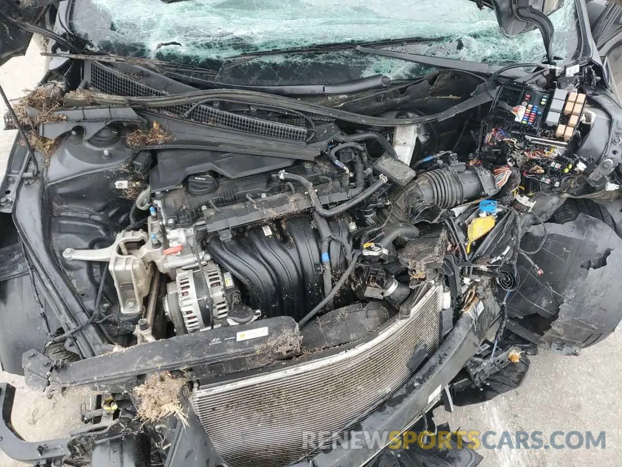 12 fotografías del automóvil dañado KMHLM4AG6PU424110 HYUNDAI ELANTRA 2023