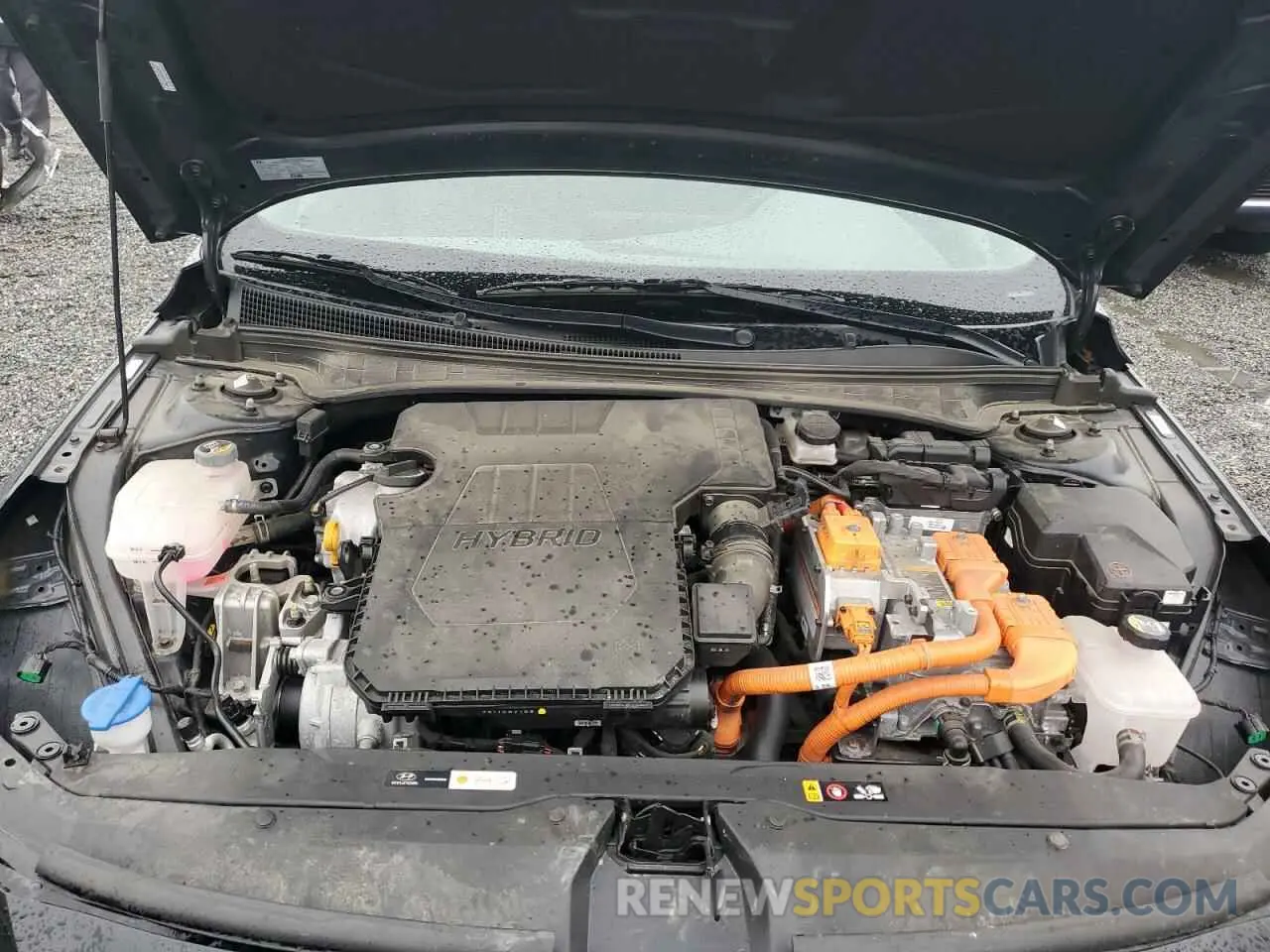 13 fotografías del automóvil dañado KMHLM4AJ6PU042249 HYUNDAI ELANTRA 2023