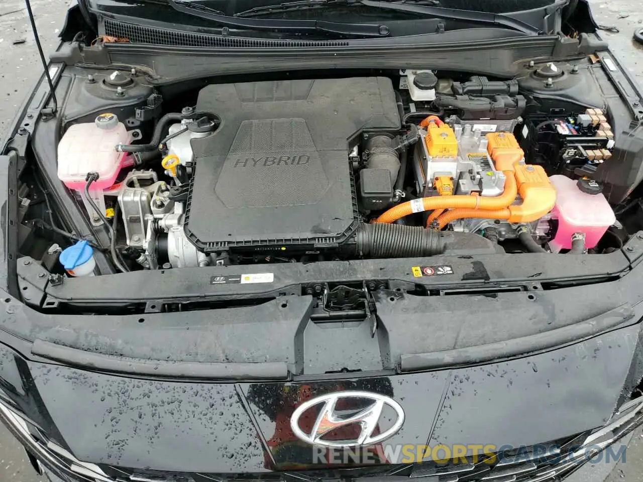 13 fotografías del automóvil dañado KMHLN4AJ8PU042489 HYUNDAI ELANTRA 2023