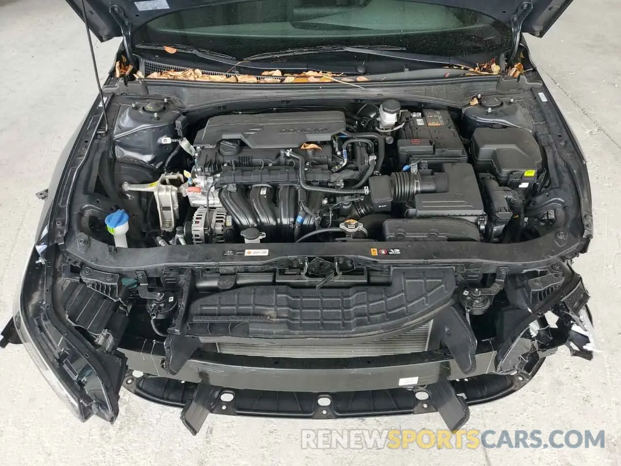 11 fotografías del automóvil dañado KMHLL4DG0RU769781 HYUNDAI ELANTRA 2024