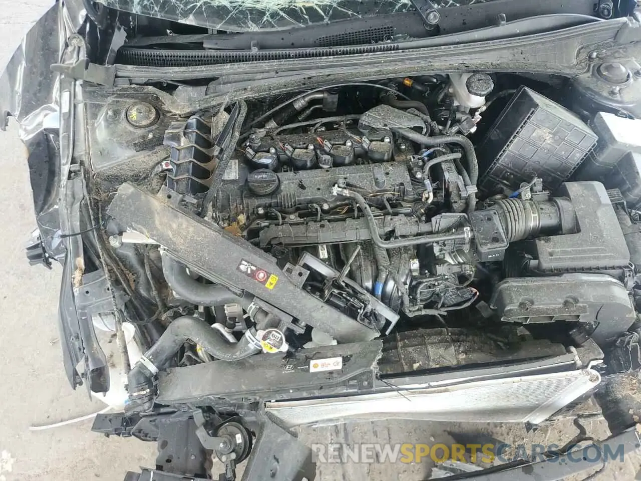 11 fotografías del automóvil dañado KMHLM4DG9RU798421 HYUNDAI ELANTRA 2024