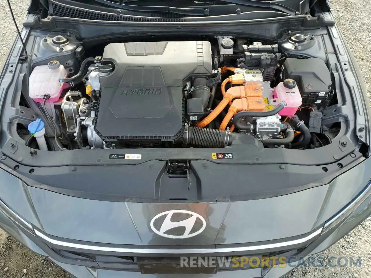 13 fotografías del automóvil dañado KMHLM4DJ5RU113424 HYUNDAI ELANTRA 2024