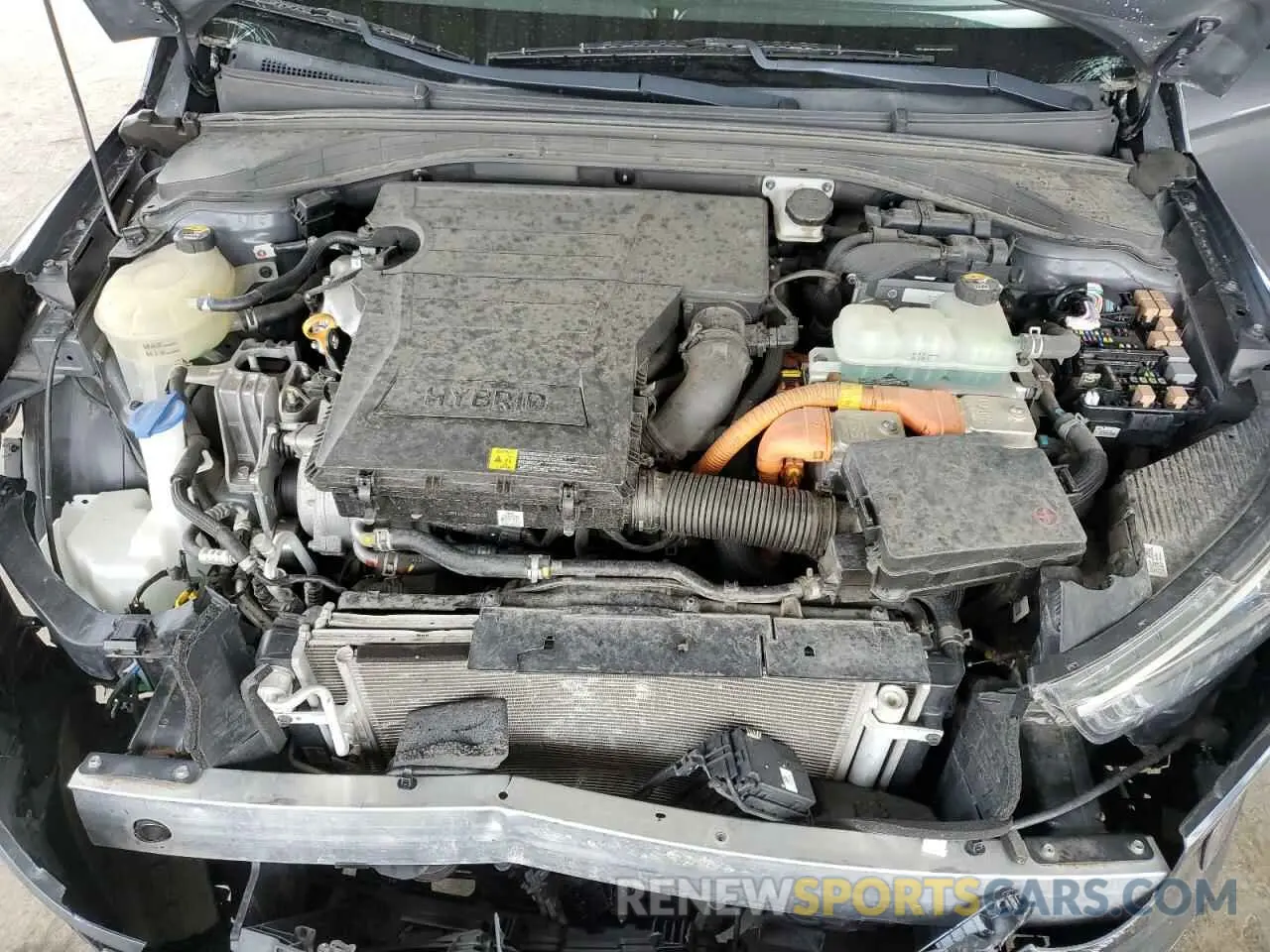 11 fotografías del automóvil dañado KMHC65LC8KU107707 HYUNDAI IONIQ 2019
