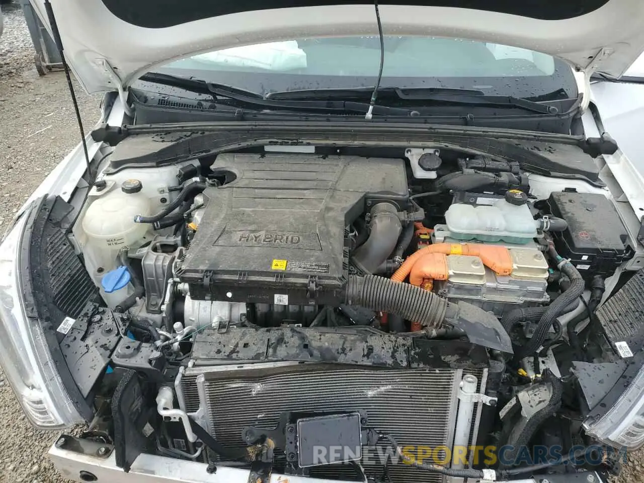 11 fotografías del automóvil dañado KMHC75LC8KU106750 HYUNDAI IONIQ 2019