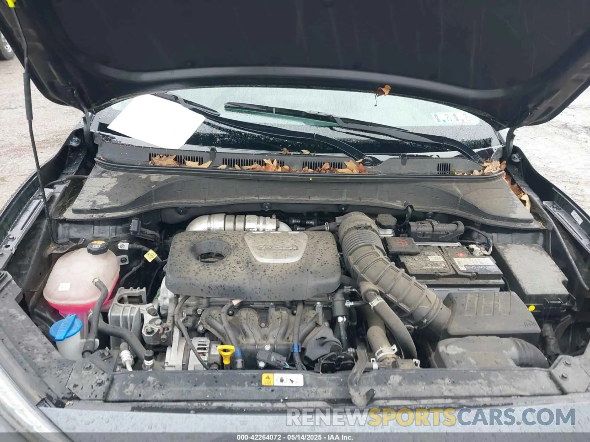 10 fotografías del automóvil dañado KM8K5CA57MU700873 HYUNDAI KONA 2021