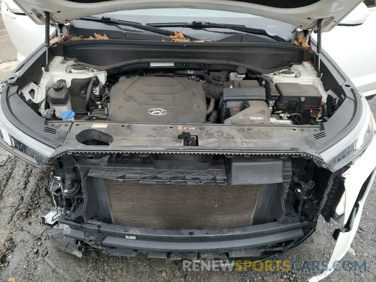 12 fotografías del automóvil dañado KM8R1DHEXMU213222 HYUNDAI PALISADE 2021