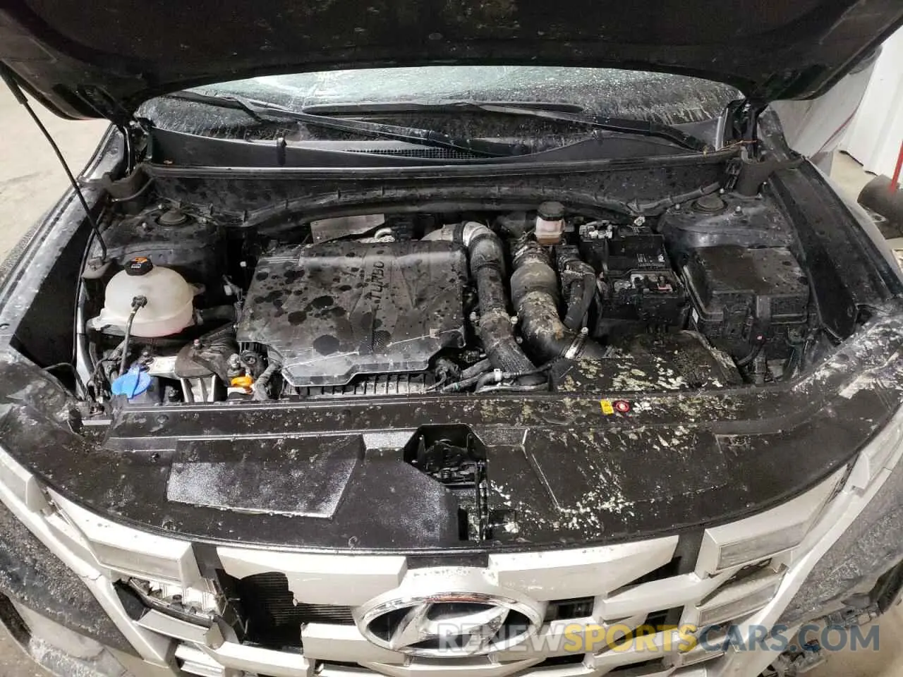 11 fotografías del automóvil dañado 5NTJDDAF0PH056716 HYUNDAI SANTA CRUZ 2023