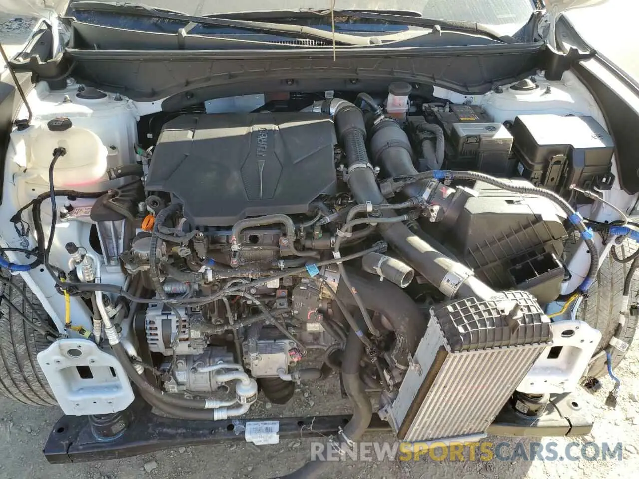11 fotografías del automóvil dañado 5NTJEDAF5PH064873 HYUNDAI SANTA CRUZ 2023