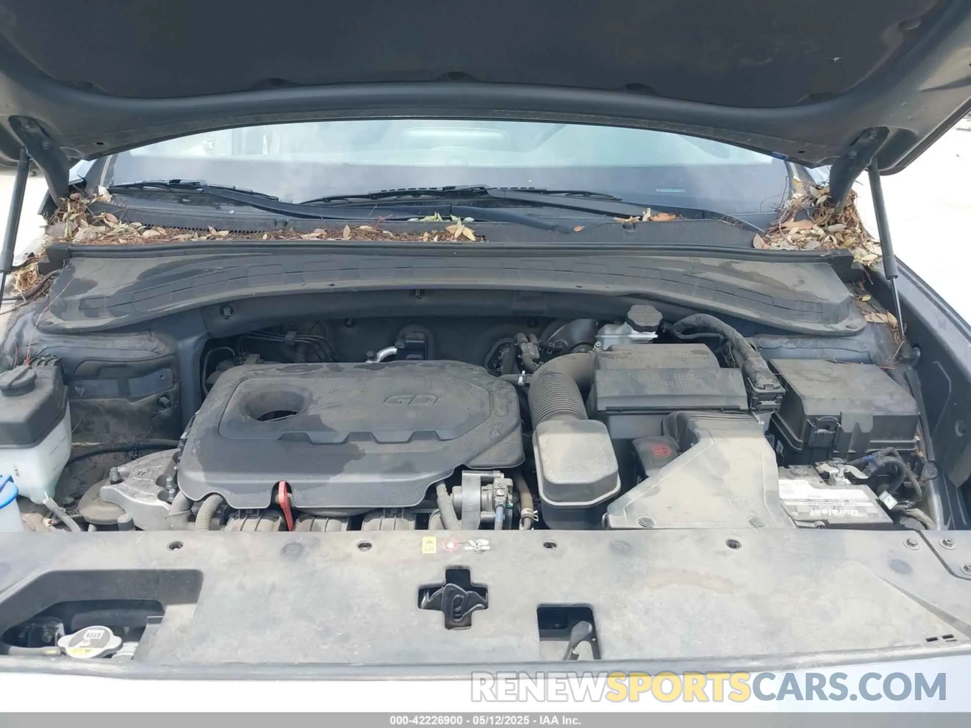 10 fotografías del automóvil dañado 5NMS53AD2KH088517 HYUNDAI SANTA FE 2019