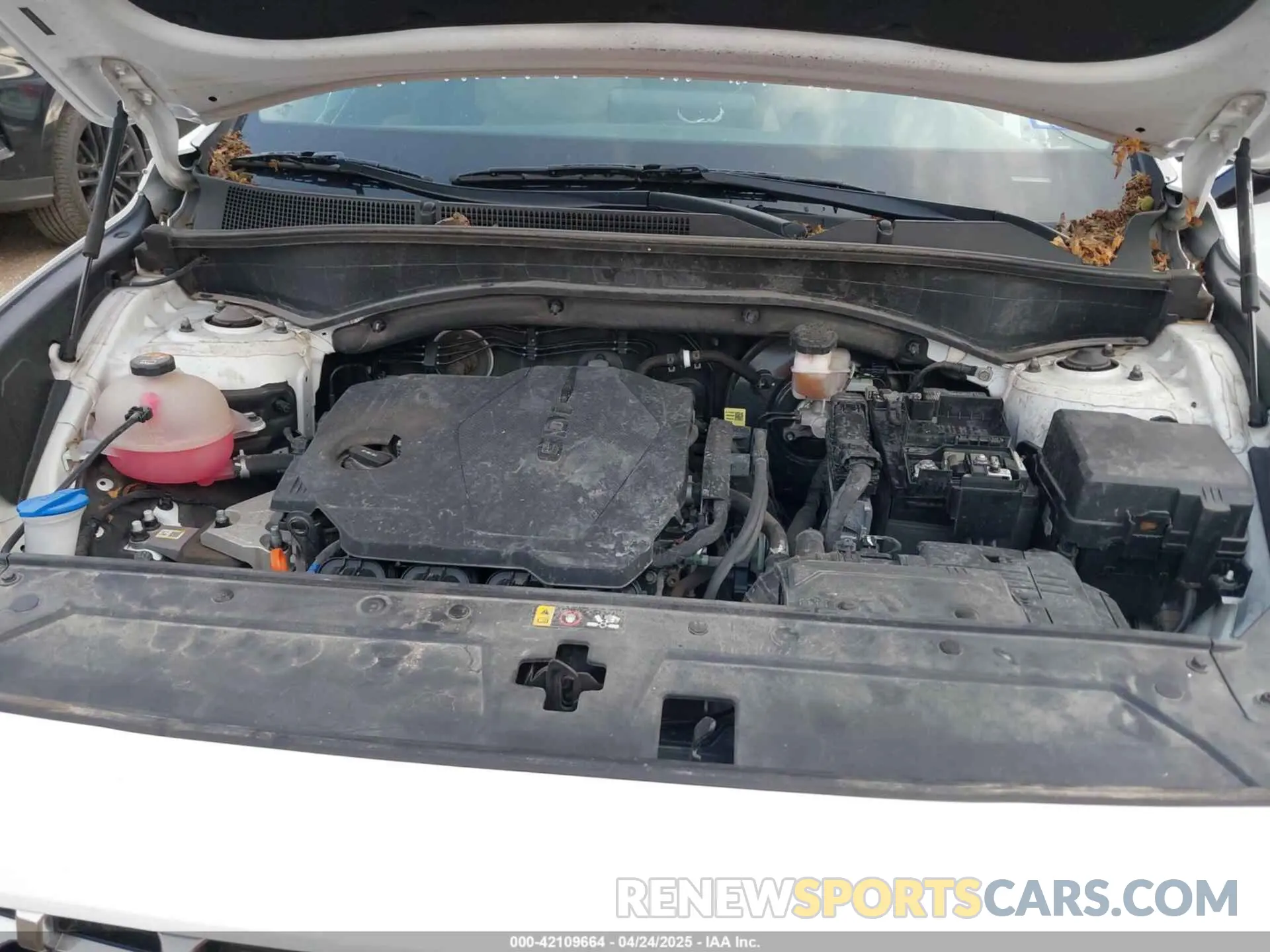 10 fotografías del automóvil dañado 5NMS24AJ8MH365968 HYUNDAI SANTA FE 2021