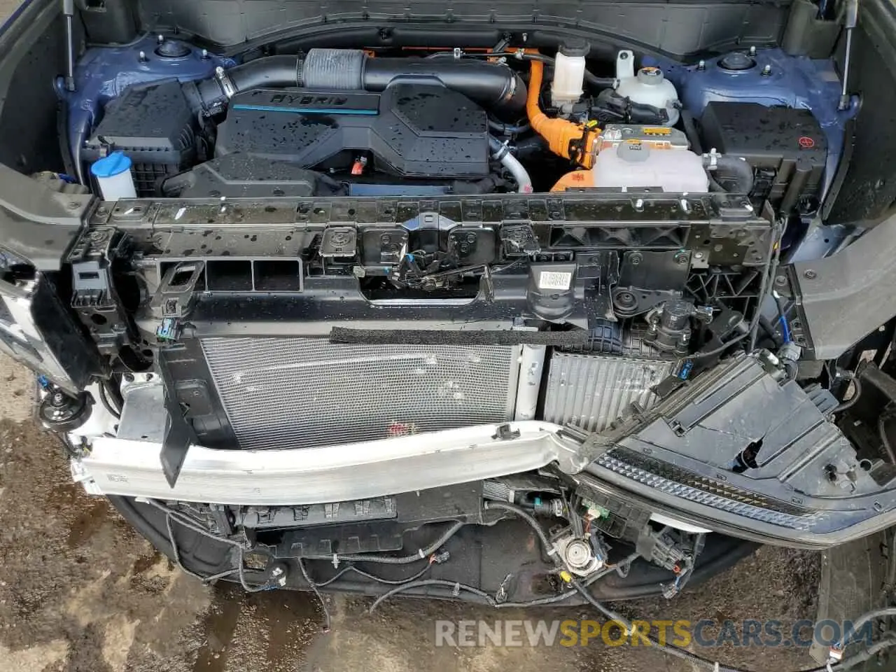 12 fotografías del automóvil dañado 5NMP24G14SH018227 HYUNDAI SANTA FE 2025
