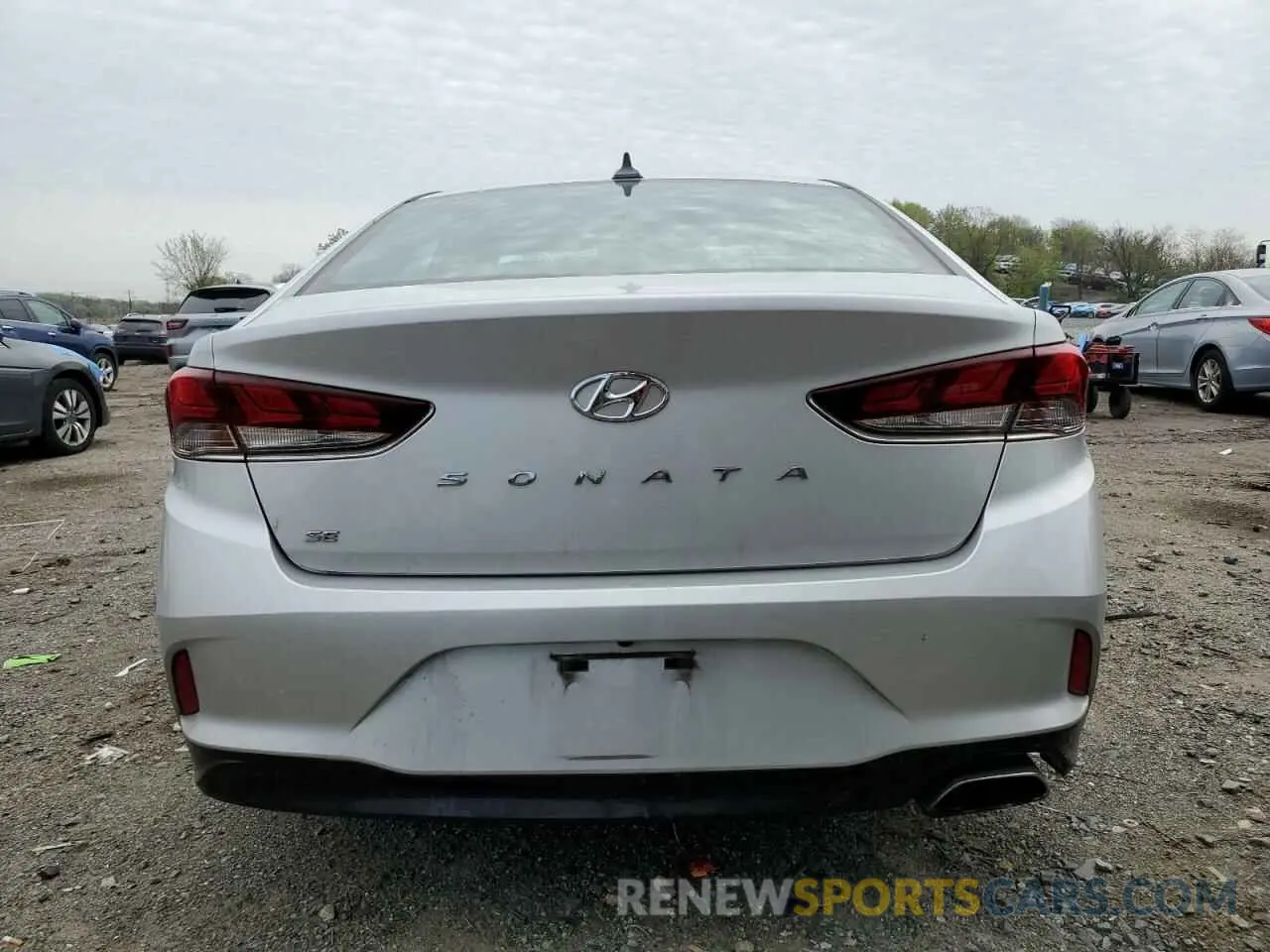6 fotografías del automóvil dañado 5NPE24AF0KH754130 HYUNDAI SONATA 2019