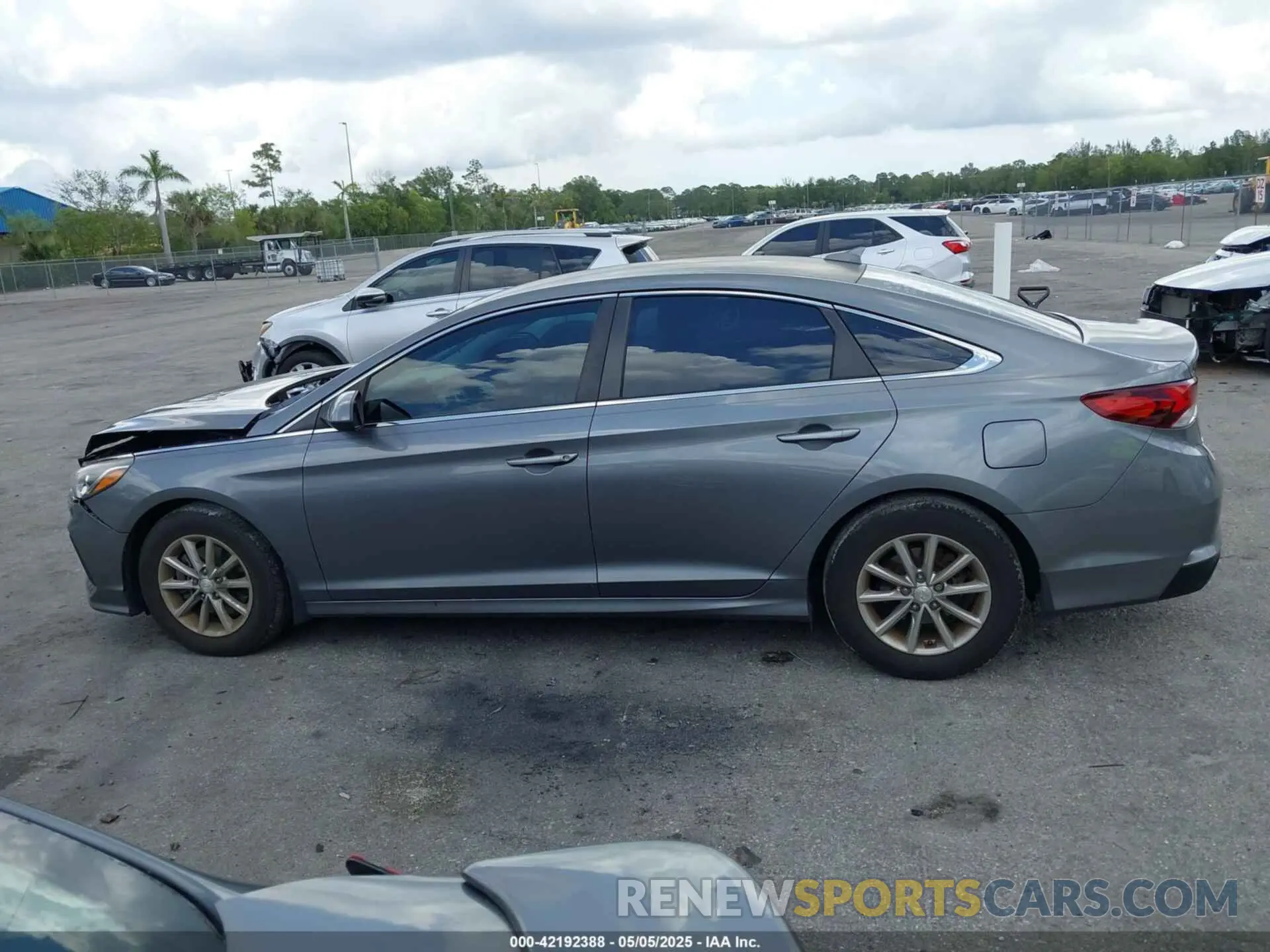 14 fotografías del automóvil dañado 5NPE24AF0KH771140 HYUNDAI SONATA 2019