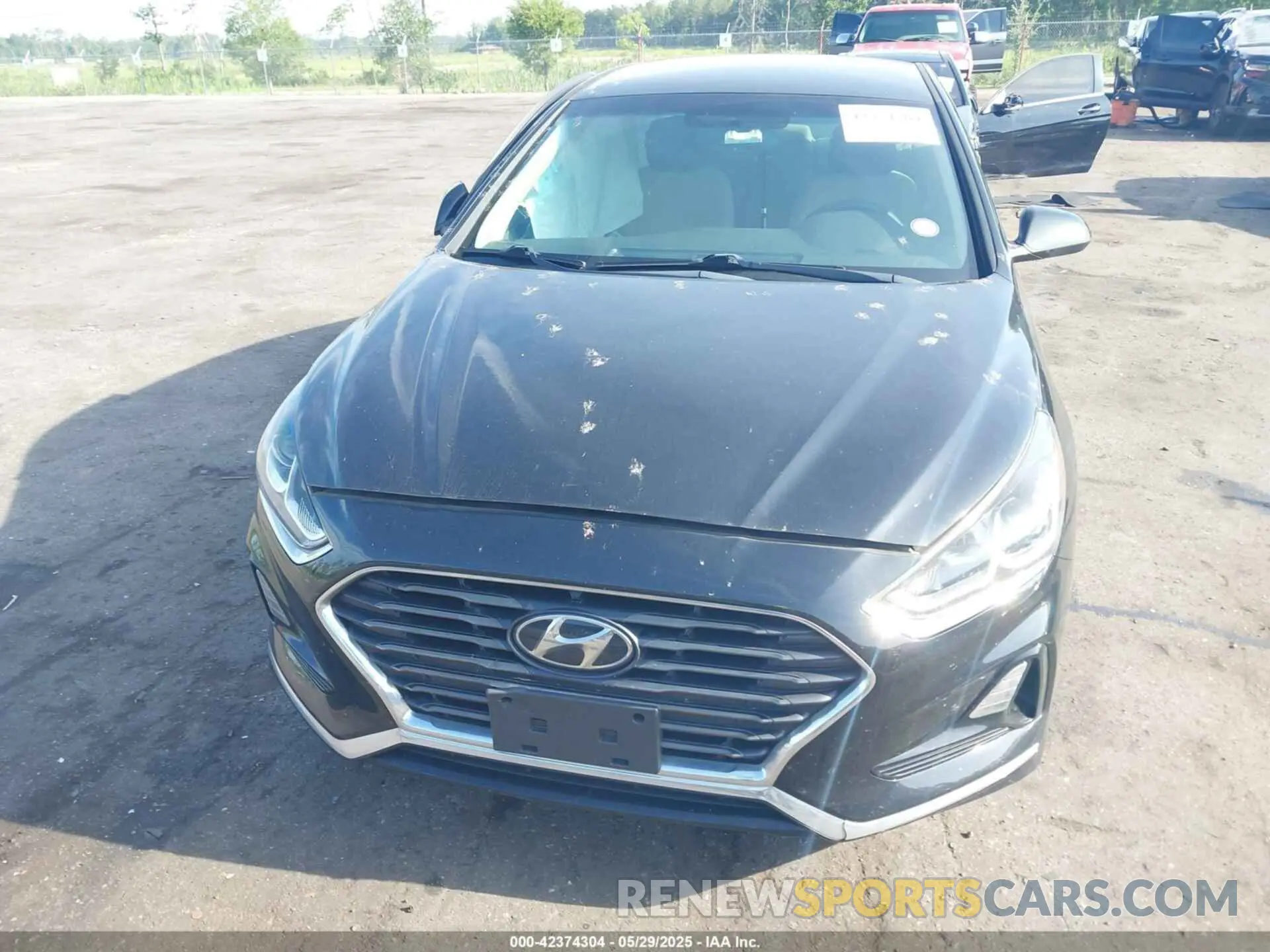 12 fotografías del automóvil dañado 5NPE24AF0KH792621 HYUNDAI SONATA 2019