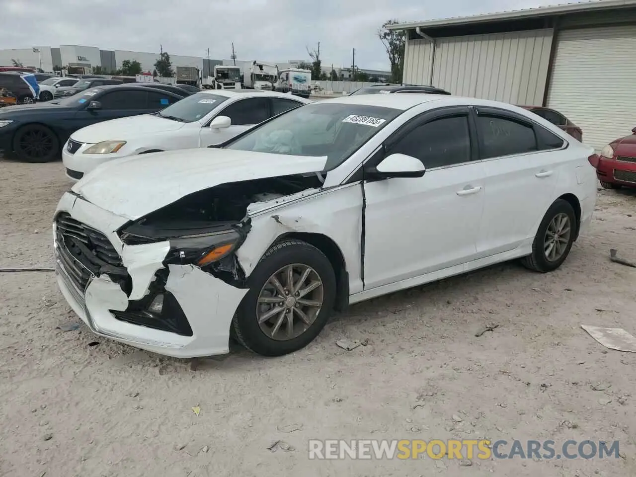 1 fotografías del automóvil dañado 5NPE24AF1KH805375 HYUNDAI SONATA 2019