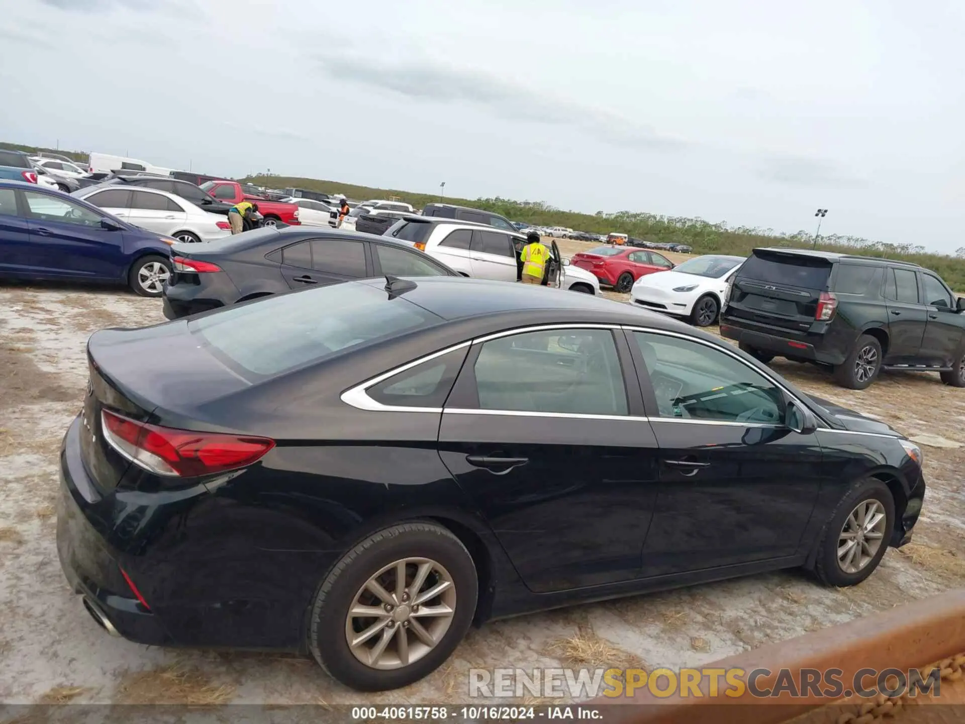 13 fotografías del automóvil dañado 5NPE24AF2KH813839 HYUNDAI SONATA 2019