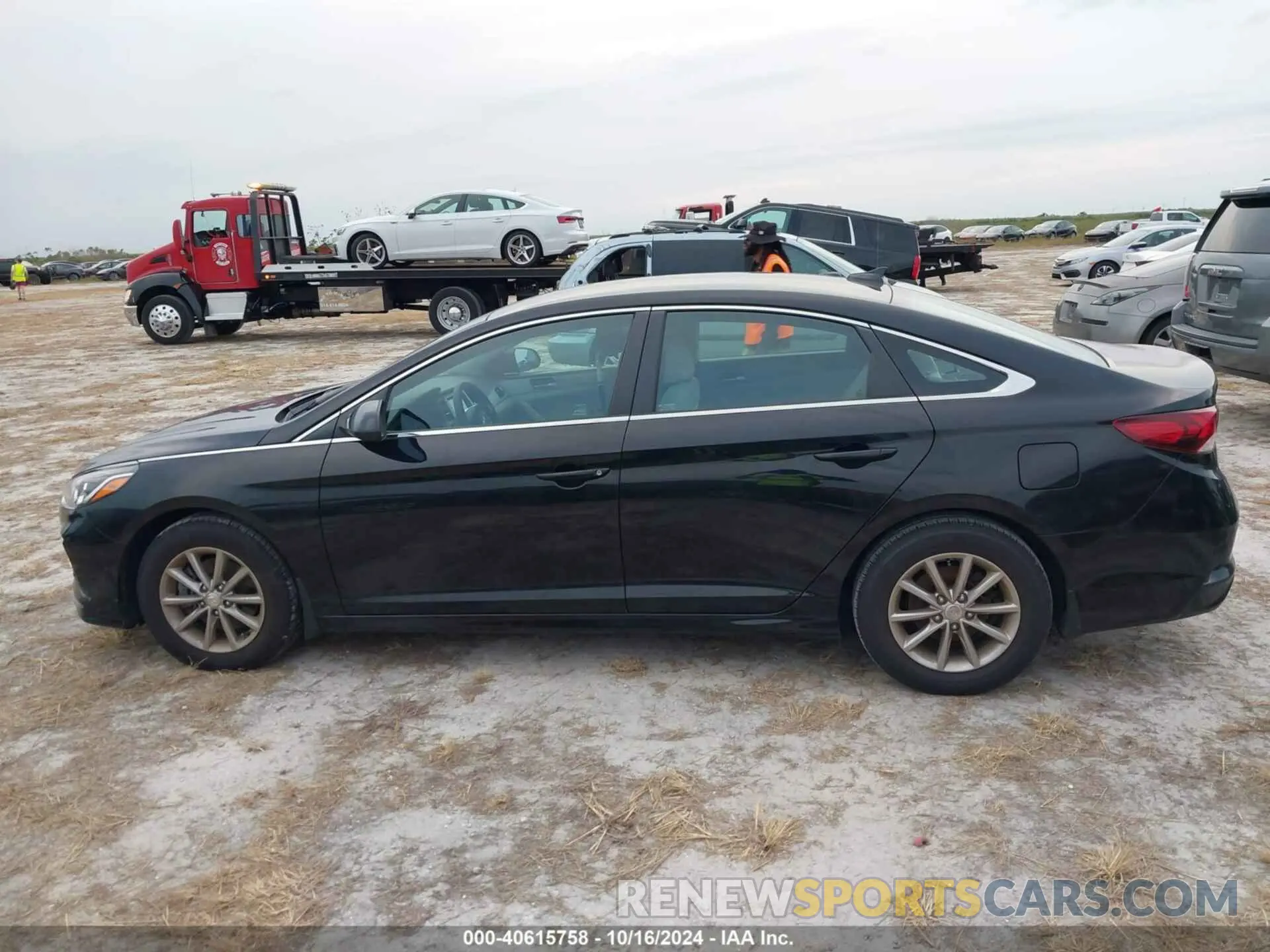 14 fotografías del automóvil dañado 5NPE24AF2KH813839 HYUNDAI SONATA 2019