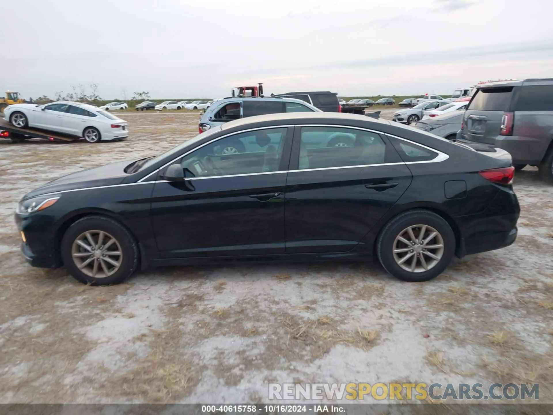 6 fotografías del automóvil dañado 5NPE24AF2KH813839 HYUNDAI SONATA 2019