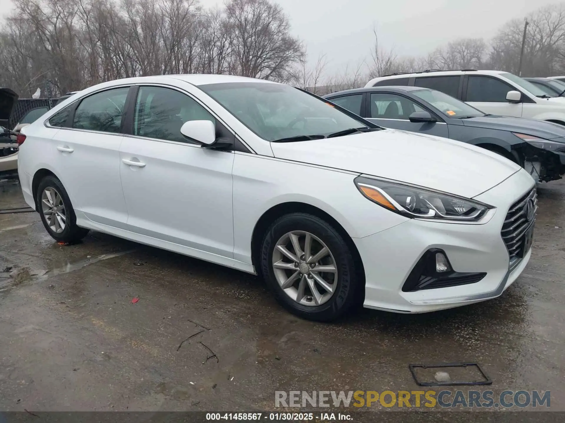 13 fotografías del automóvil dañado 5NPE24AF3KH746684 HYUNDAI SONATA 2019