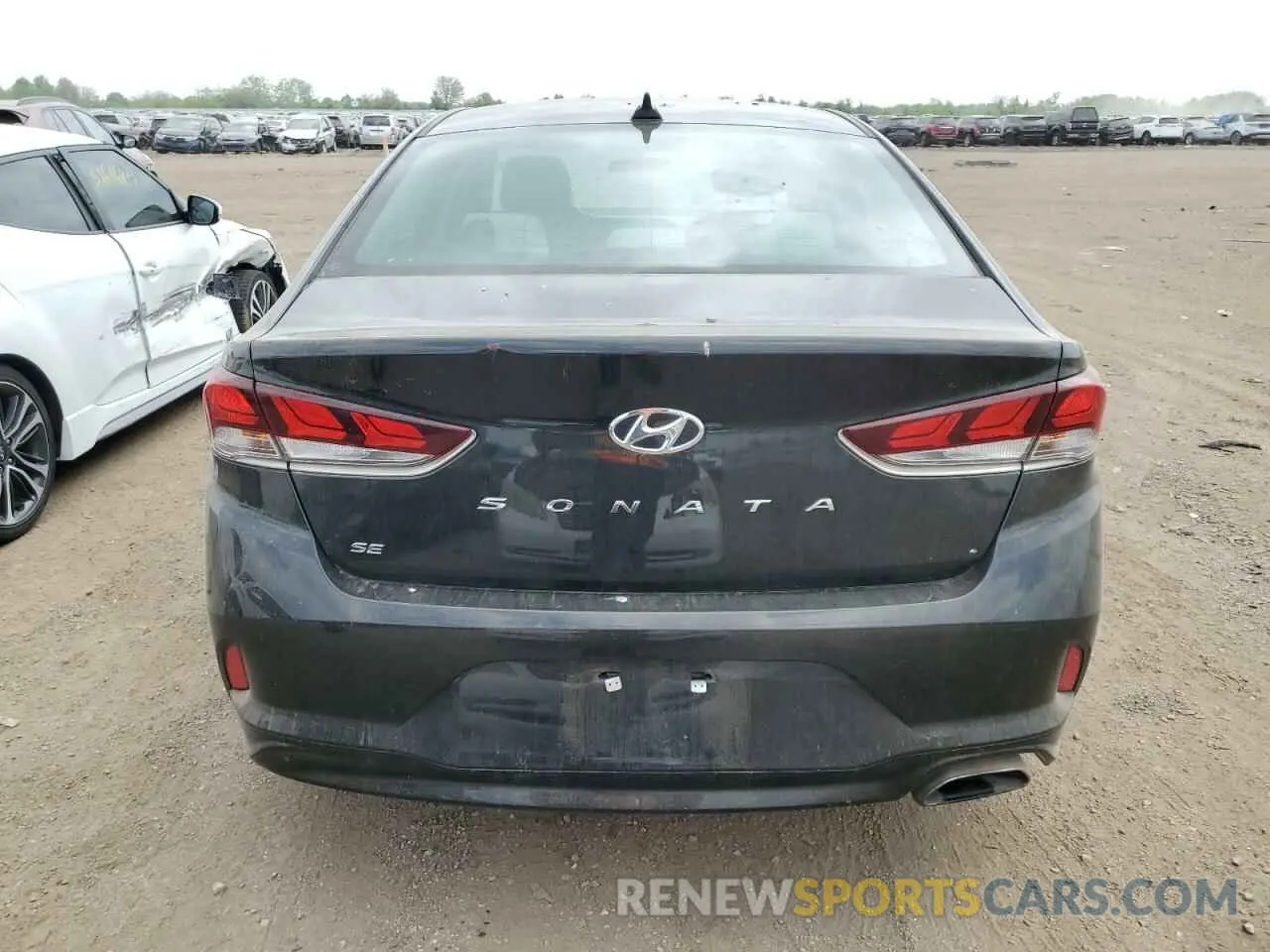 6 fotografías del automóvil dañado 5NPE24AF3KH769267 HYUNDAI SONATA 2019
