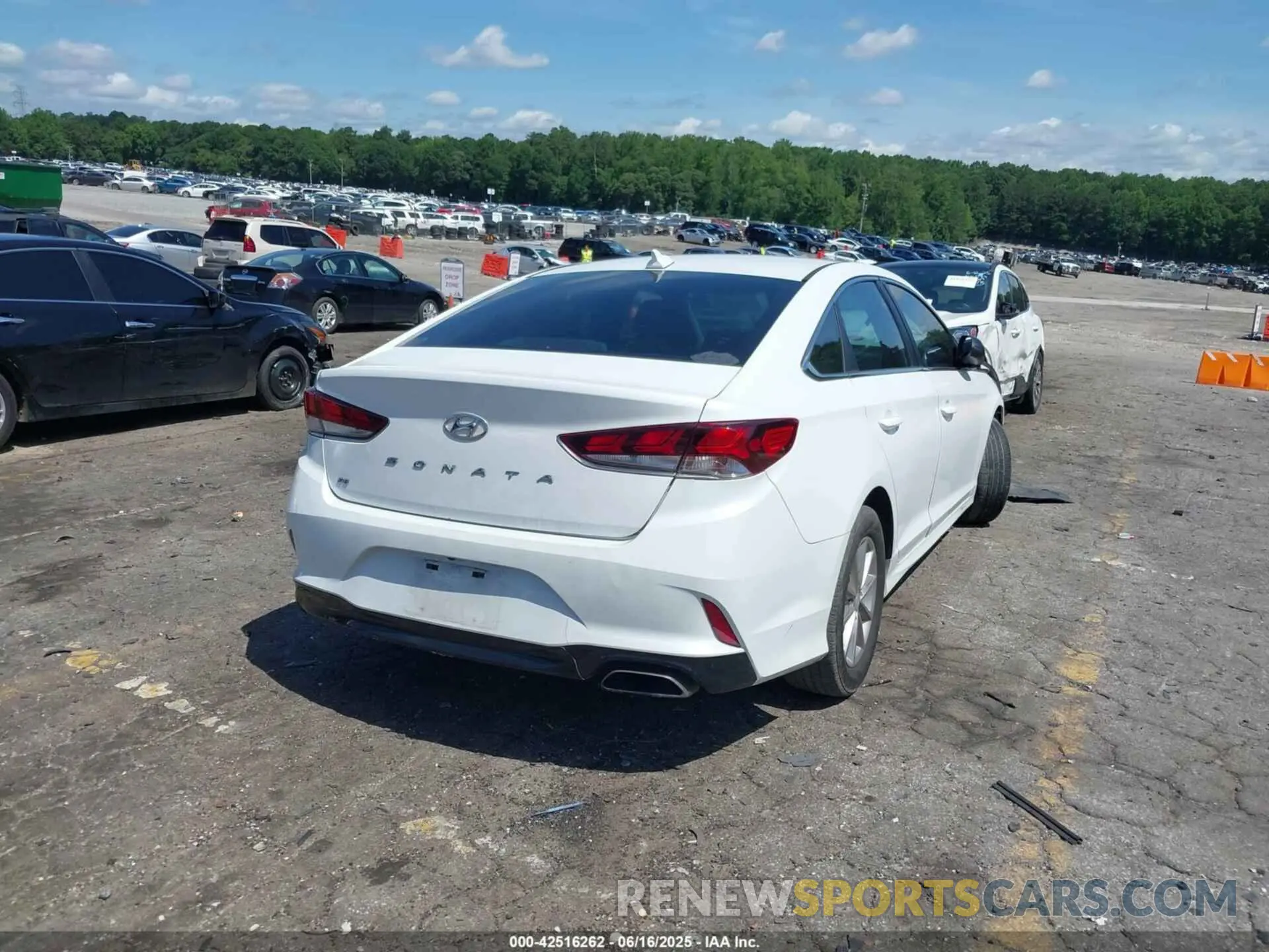 4 fotografías del automóvil dañado 5NPE24AF4KH734270 HYUNDAI SONATA 2019