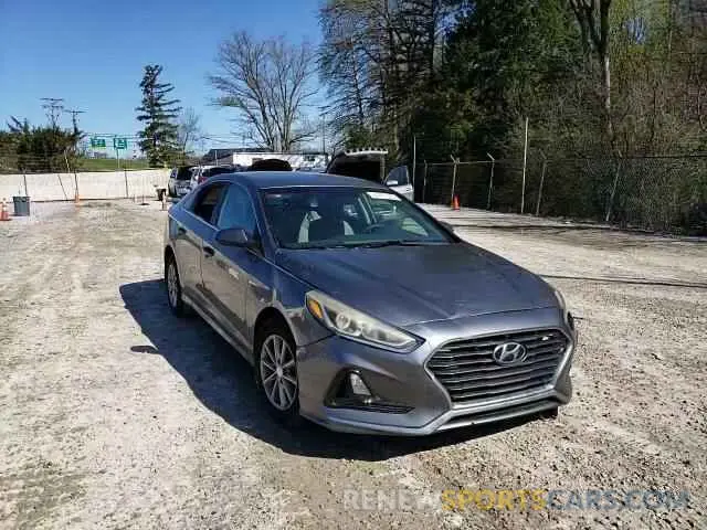 13 fotografías del automóvil dañado 5NPE24AF4KH808609 HYUNDAI SONATA 2019