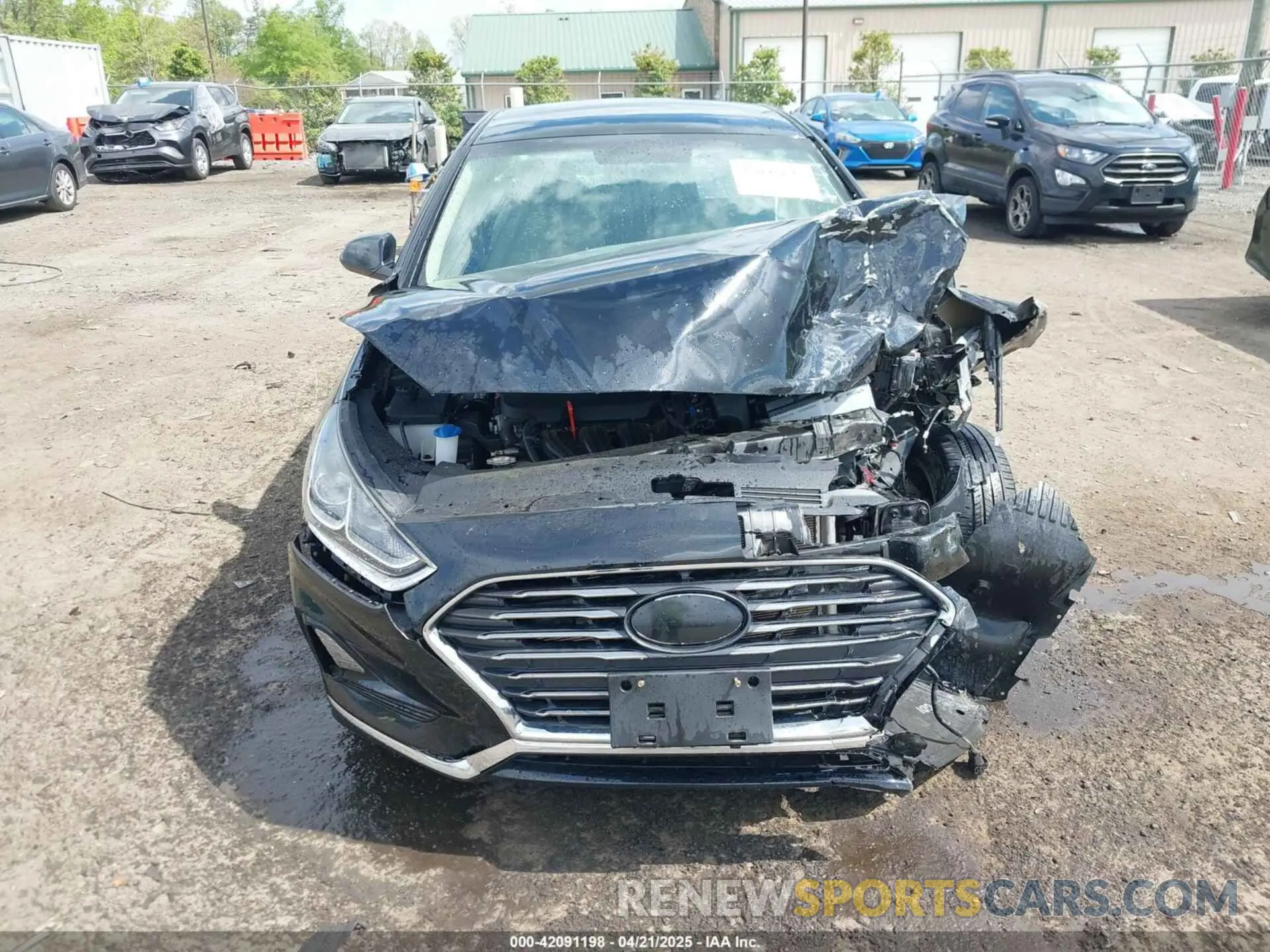 12 fotografías del automóvil dañado 5NPE24AF5KH733113 HYUNDAI SONATA 2019