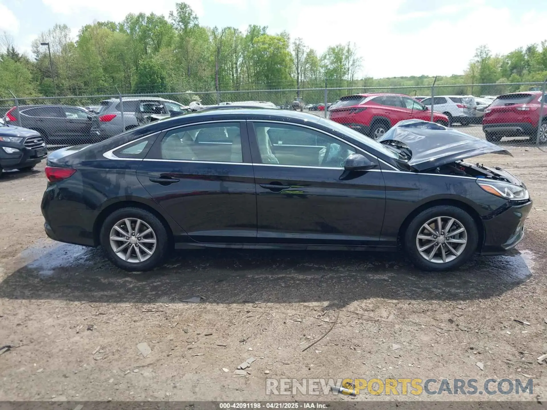 13 fotografías del automóvil dañado 5NPE24AF5KH733113 HYUNDAI SONATA 2019