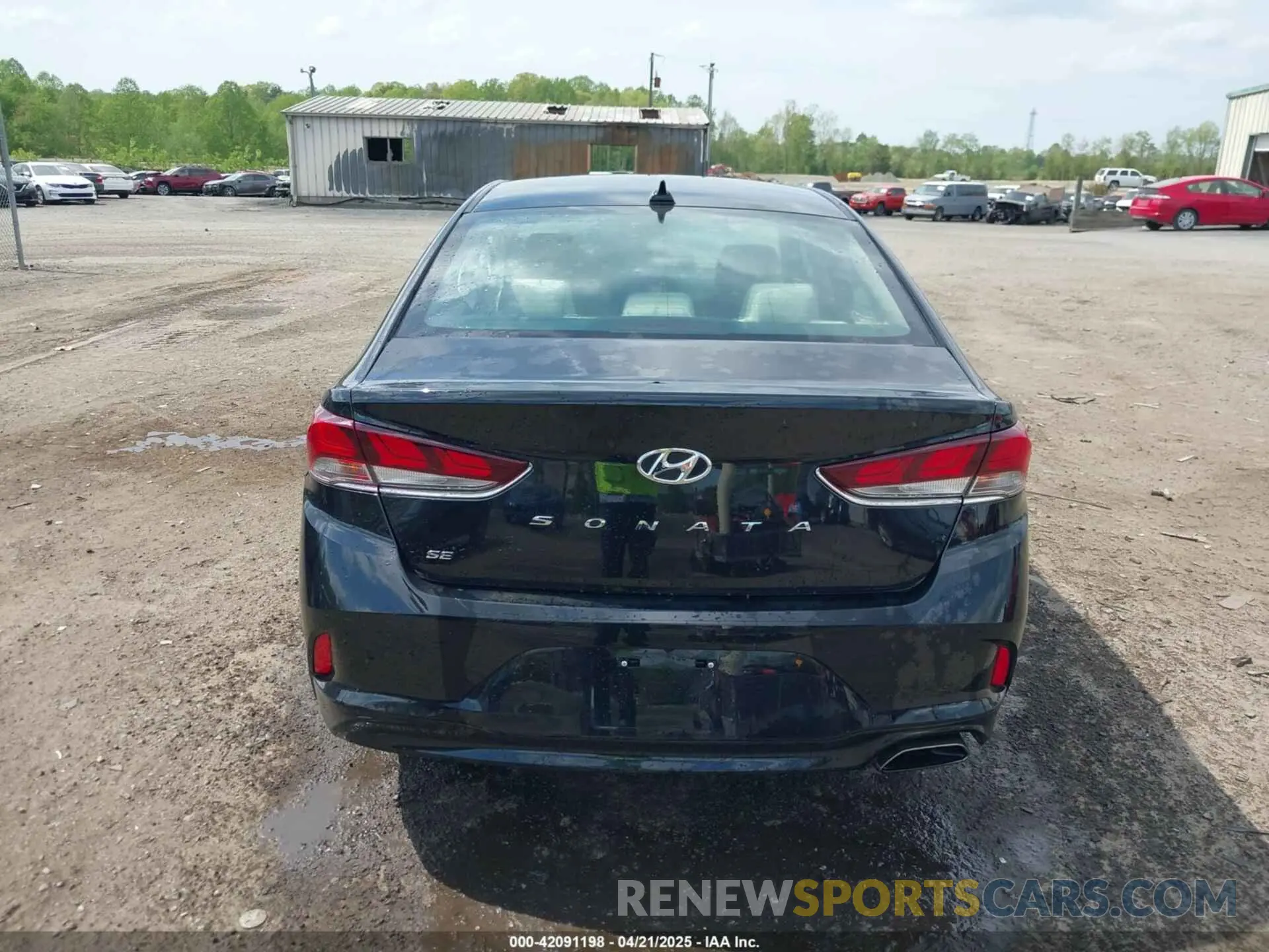 16 fotografías del automóvil dañado 5NPE24AF5KH733113 HYUNDAI SONATA 2019